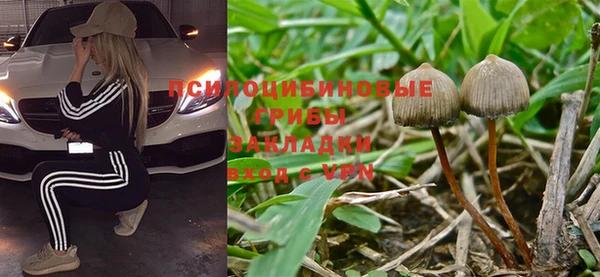 дмт Вязьма