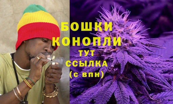 дмт Вязьма