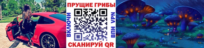 Псилоцибиновые грибы GOLDEN TEACHER где купить наркоту Нахабино